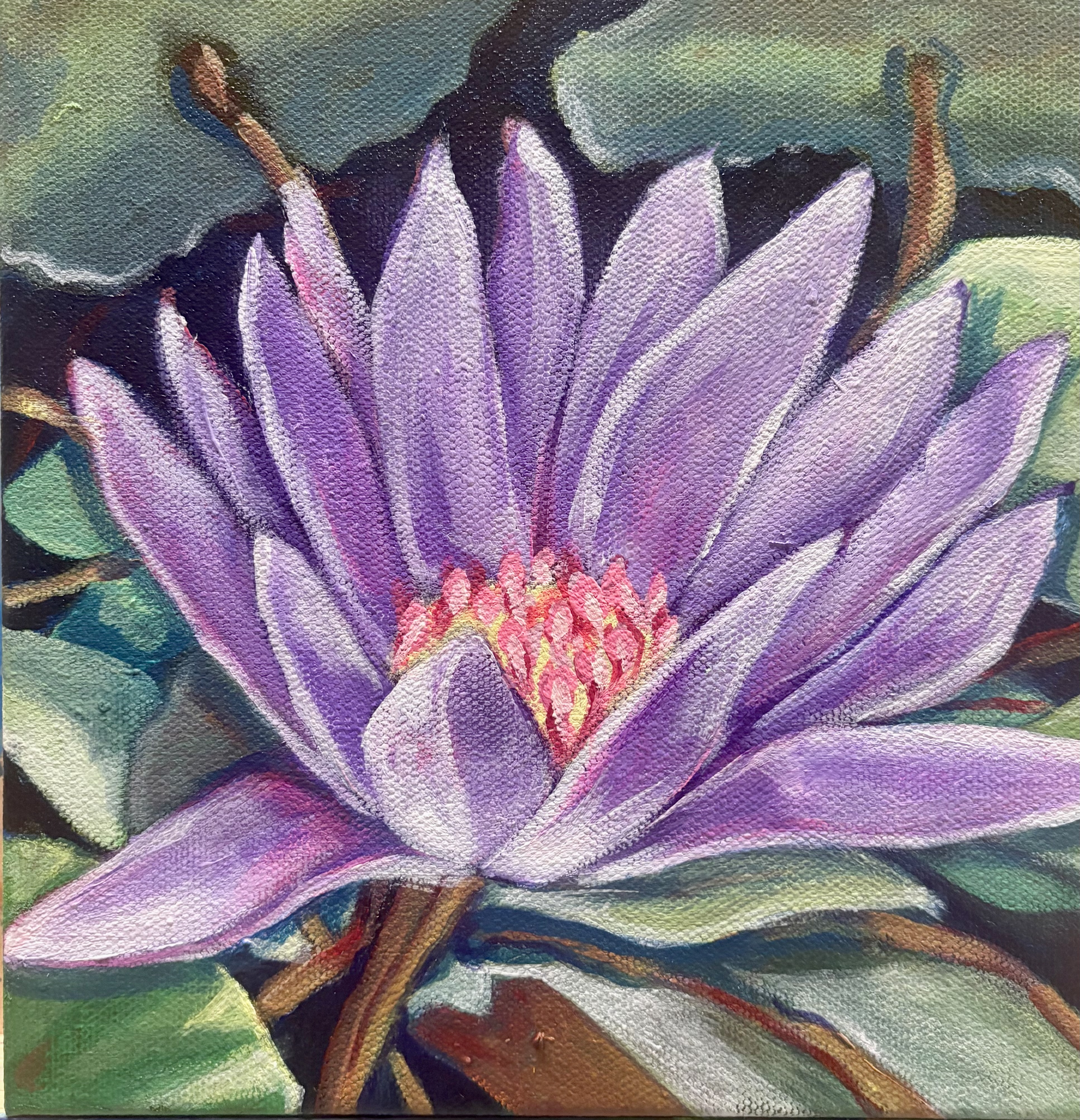 Purple Lily